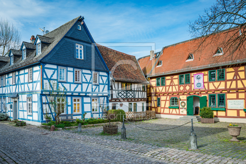 frei wählbarer Bildausschnitt für Ihr Bild auf Türfolie
