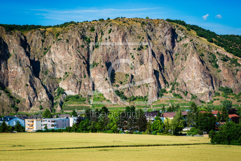 frei wählbarer Bildausschnitt für Ihr Bild auf Türfolie