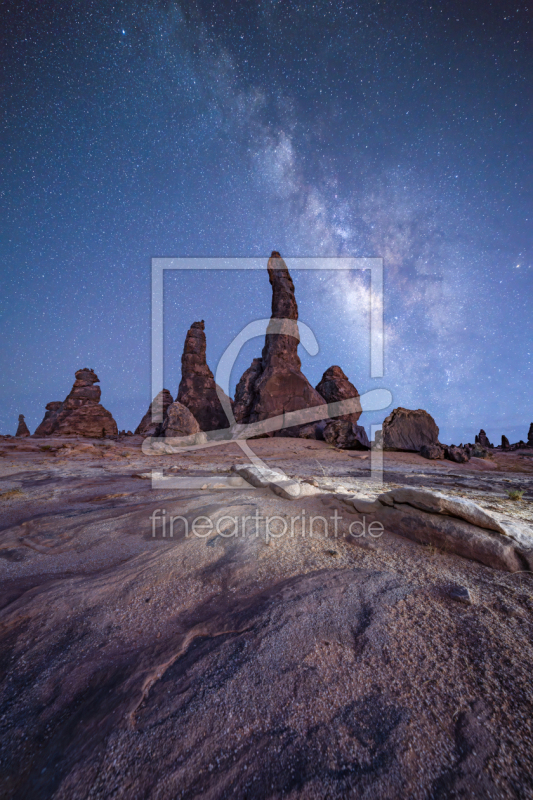 frei wählbarer Bildausschnitt für Ihr Bild auf Türfolie