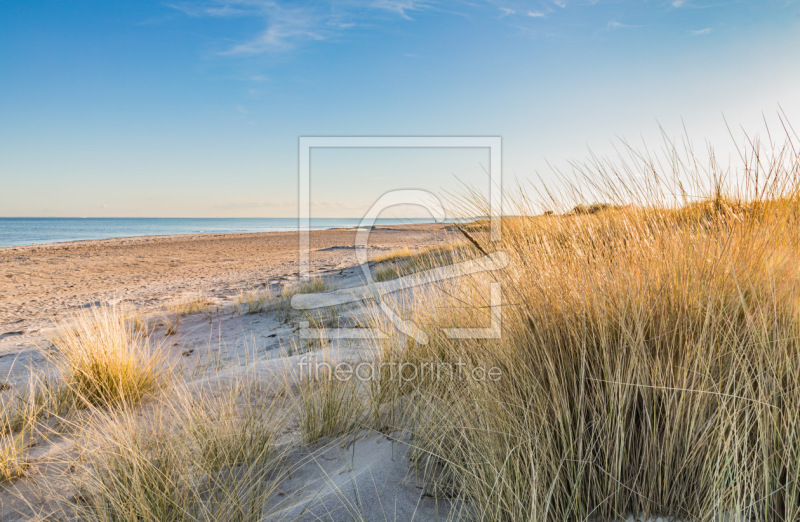 frei wählbarer Bildausschnitt für Ihr Bild auf Türfolie