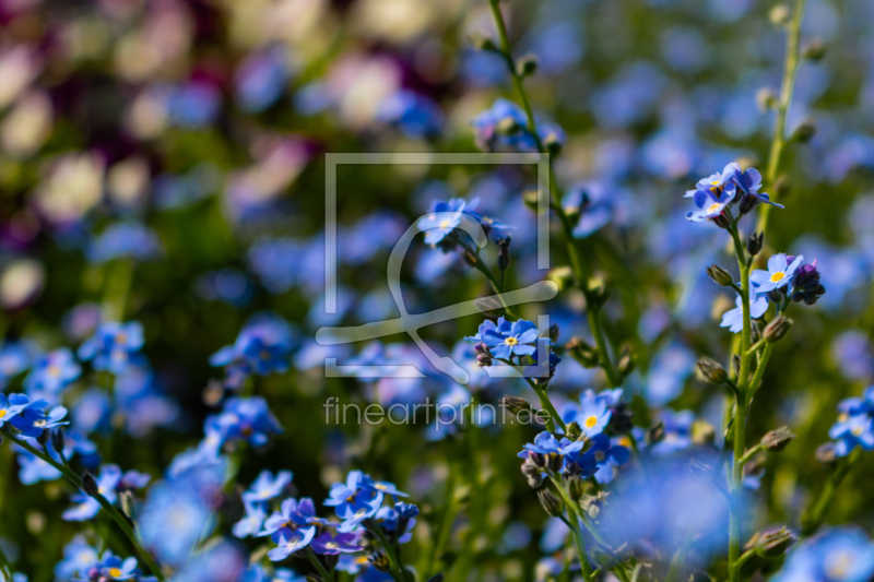 frei wählbarer Bildausschnitt für Ihr Bild auf Türfolie