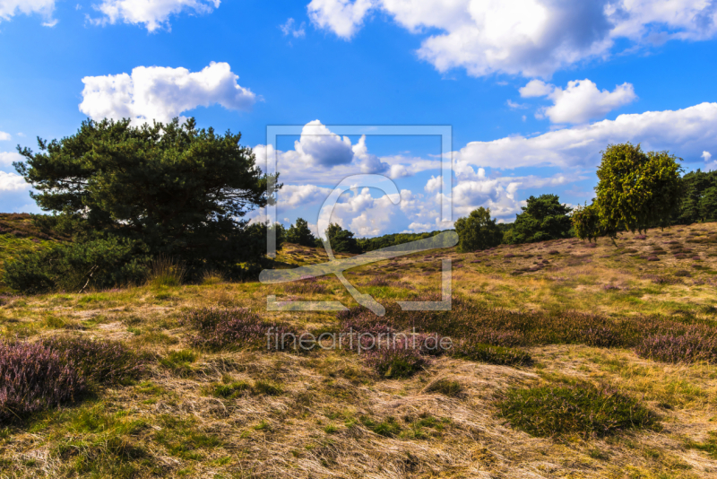 frei wählbarer Bildausschnitt für Ihr Bild auf Türfolie