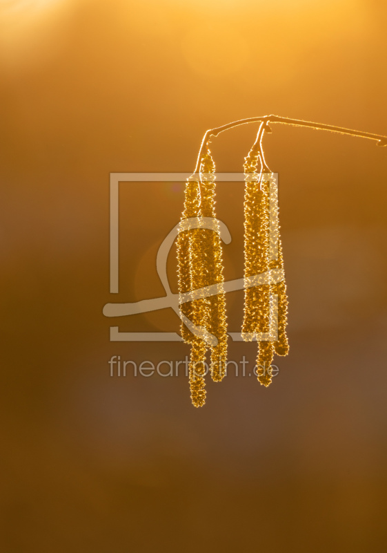 frei wählbarer Bildausschnitt für Ihr Bild auf Türfolie