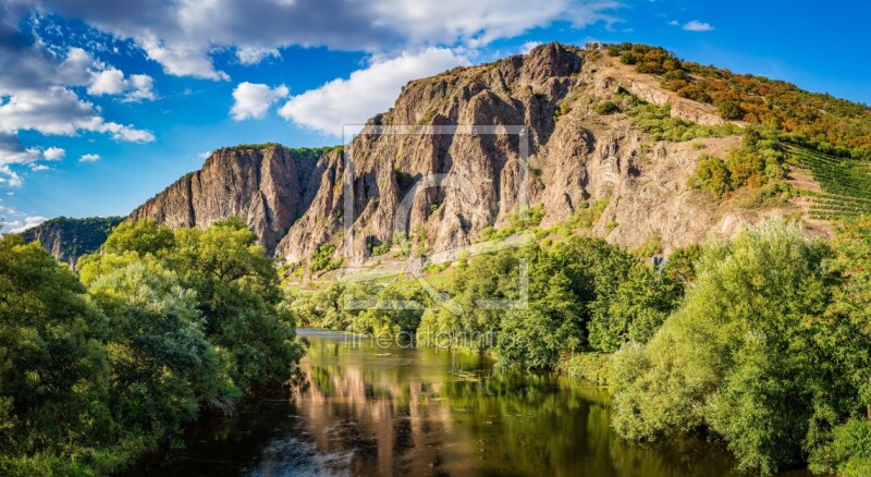 frei wählbarer Bildausschnitt für Ihr Bild auf Türfolie