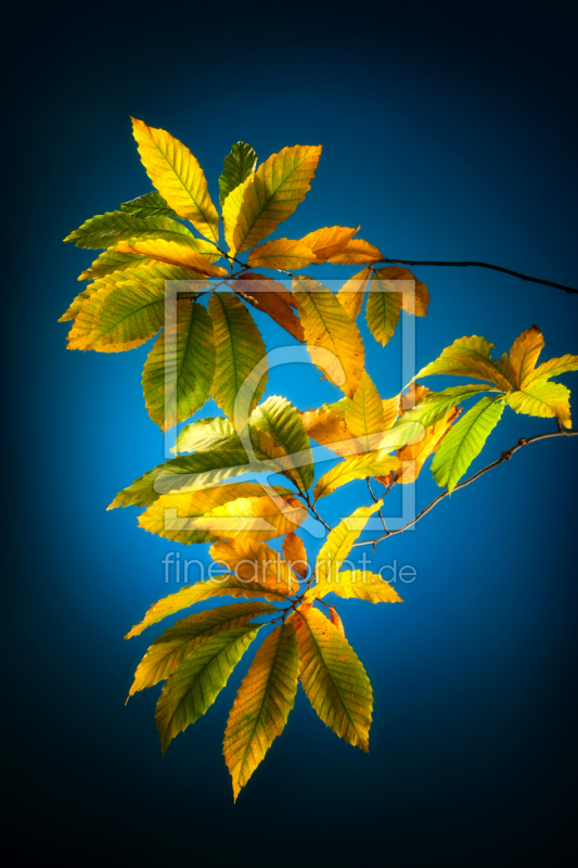 frei wählbarer Bildausschnitt für Ihr Bild auf Türfolie