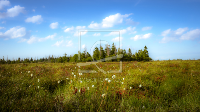 frei wählbarer Bildausschnitt für Ihr Bild auf Türfolie