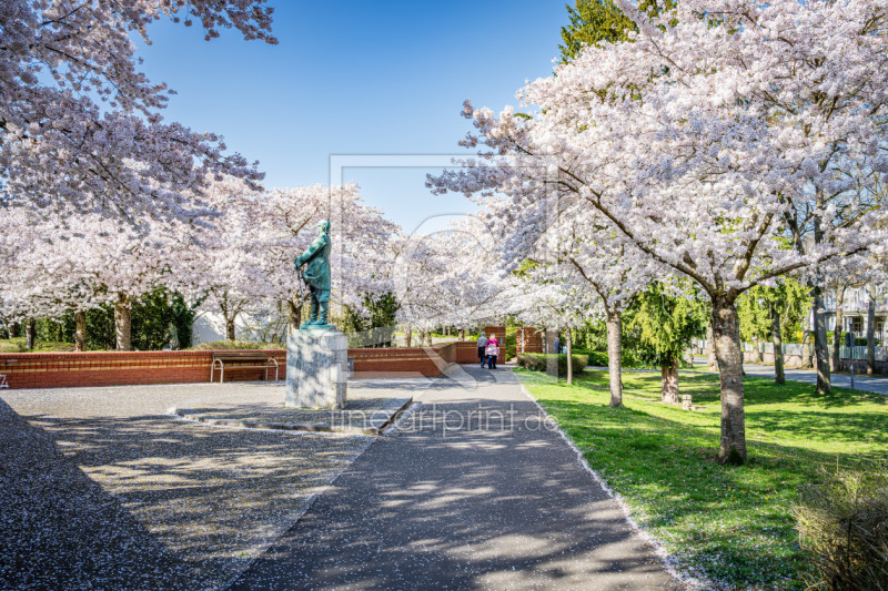 frei wählbarer Bildausschnitt für Ihr Bild auf Türfolie