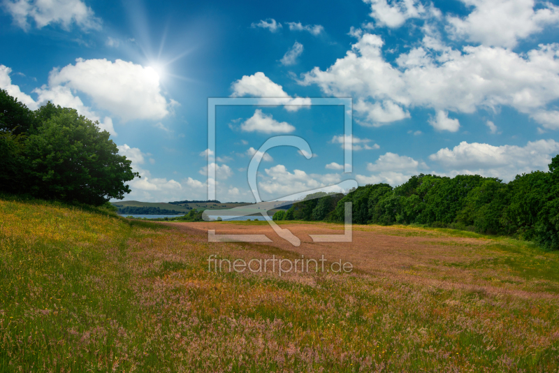 frei wählbarer Bildausschnitt für Ihr Bild auf Türfolie