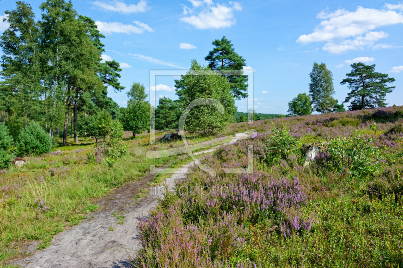 frei wählbarer Bildausschnitt für Ihr Bild auf Türfolie