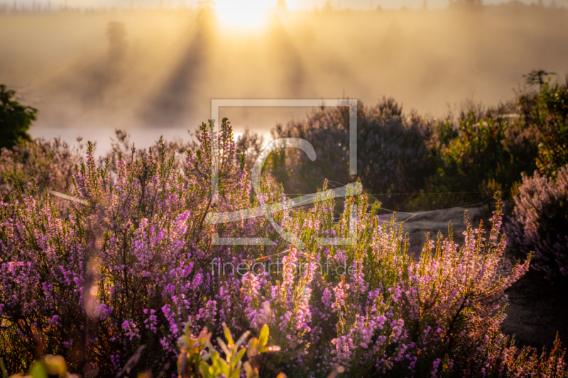 frei wählbarer Bildausschnitt für Ihr Bild auf Türfolie