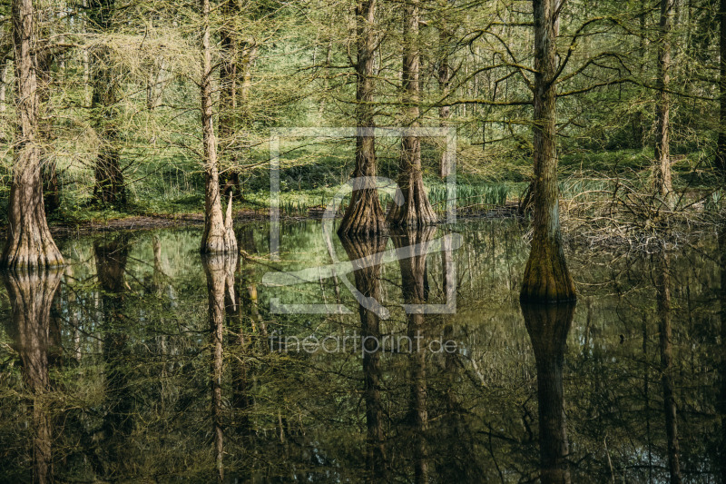 frei wählbarer Bildausschnitt für Ihr Bild auf Türfolie