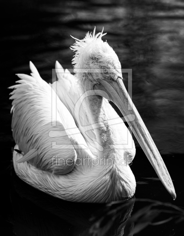 frei wählbarer Bildausschnitt für Ihr Bild auf Türfolie