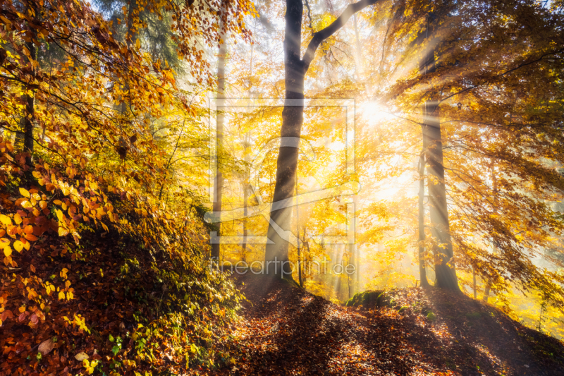 frei wählbarer Bildausschnitt für Ihr Bild auf Türfolie