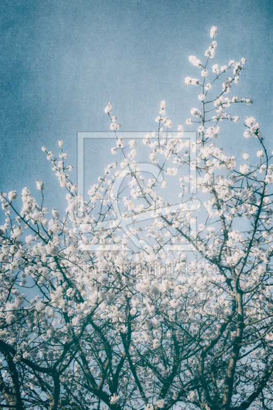 frei wählbarer Bildausschnitt für Ihr Bild auf Türfolie