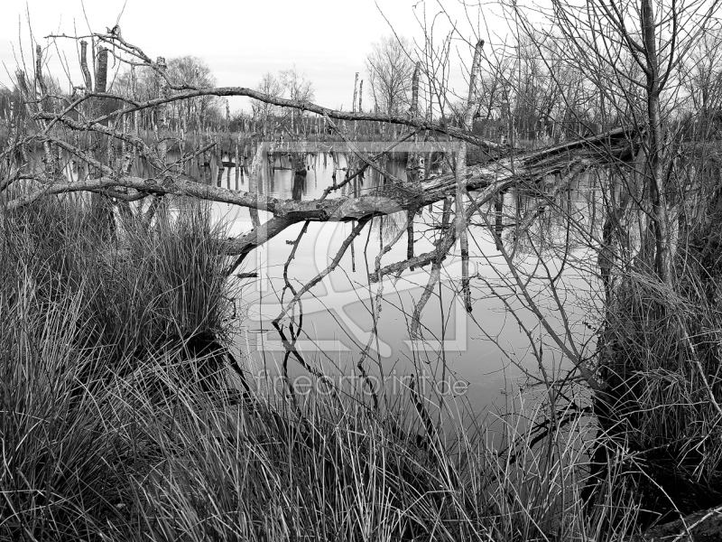 frei wählbarer Bildausschnitt für Ihr Bild auf Türfolie