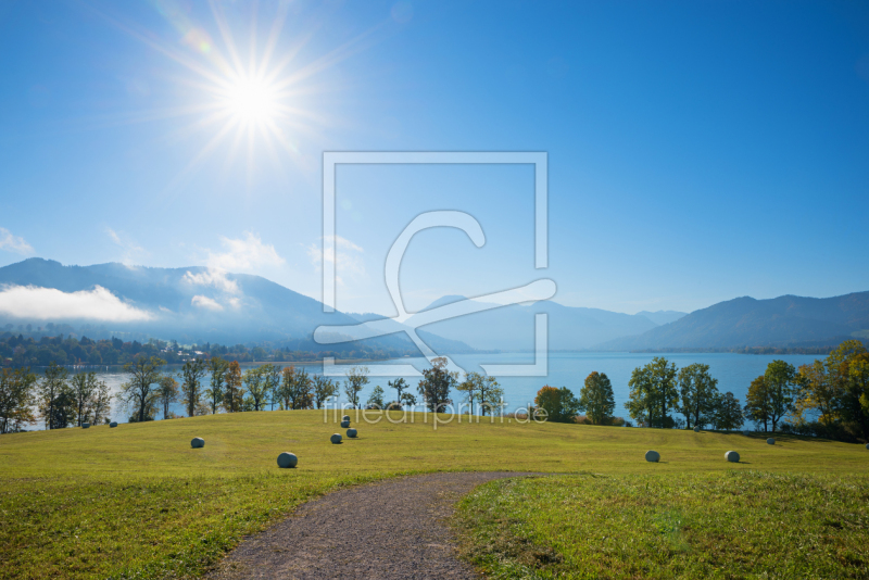 frei wählbarer Bildausschnitt für Ihr Bild auf Türfolie