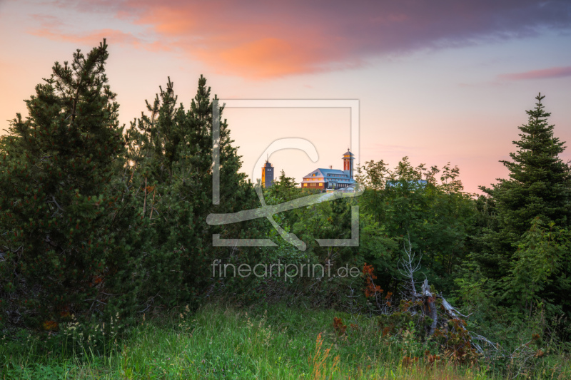 frei wählbarer Bildausschnitt für Ihr Bild auf Türfolie