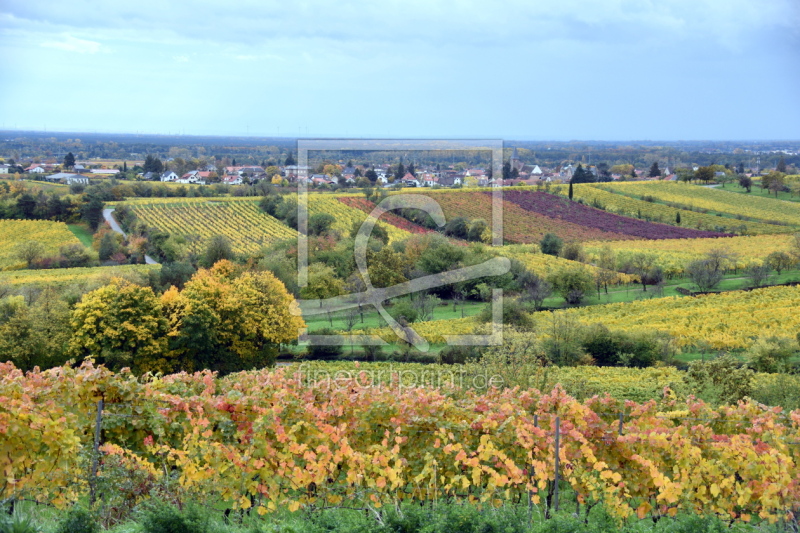 frei wählbarer Bildausschnitt für Ihr Bild auf Türfolie