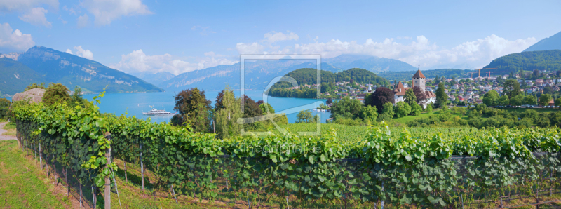 frei wählbarer Bildausschnitt für Ihr Bild auf Türfolie