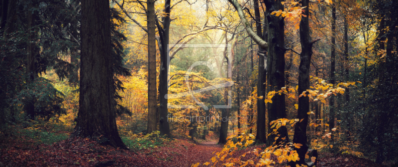 frei wählbarer Bildausschnitt für Ihr Bild auf Türfolie