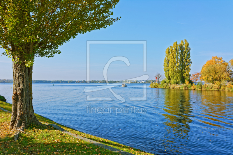 frei wählbarer Bildausschnitt für Ihr Bild auf Türfolie