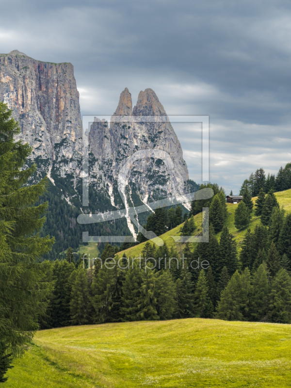 frei wählbarer Bildausschnitt für Ihr Bild auf Türfolie