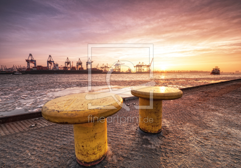 frei wählbarer Bildausschnitt für Ihr Bild auf Türfolie