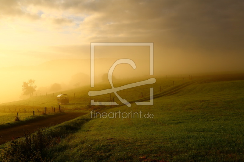 frei wählbarer Bildausschnitt für Ihr Bild auf Türfolie