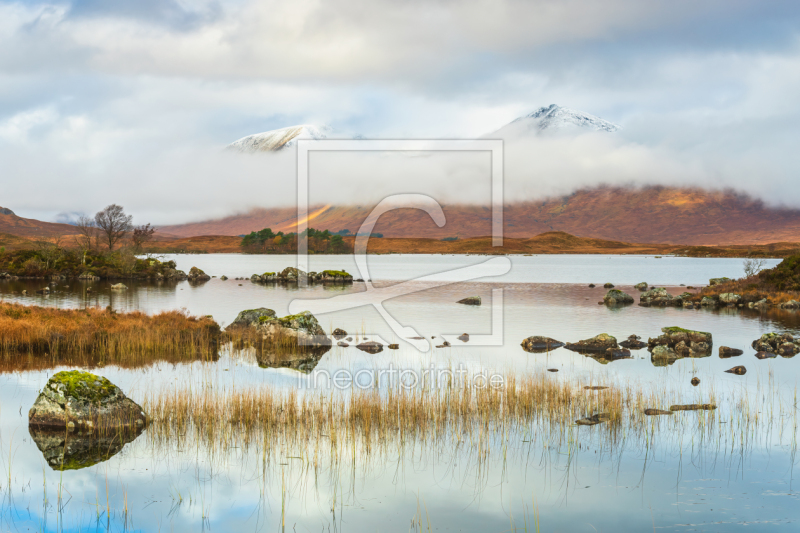 frei wählbarer Bildausschnitt für Ihr Bild auf Türfolie