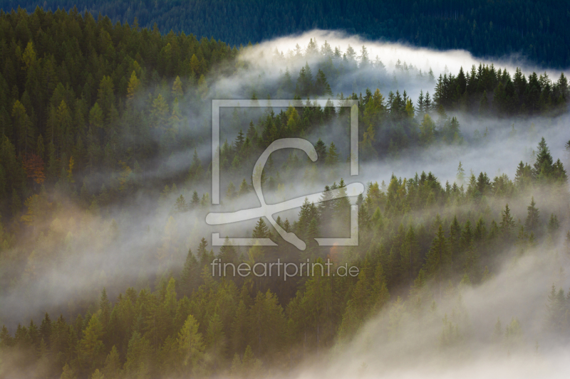 frei wählbarer Bildausschnitt für Ihr Bild auf Türfolie