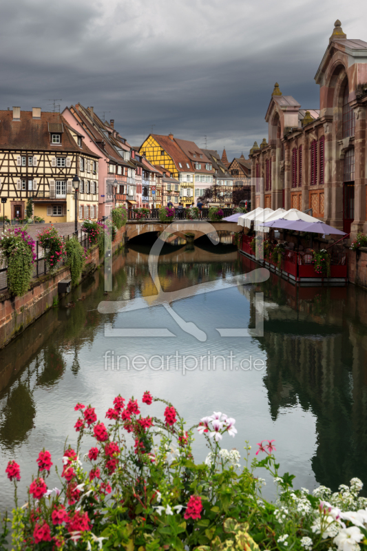 frei wählbarer Bildausschnitt für Ihr Bild auf Türfolie