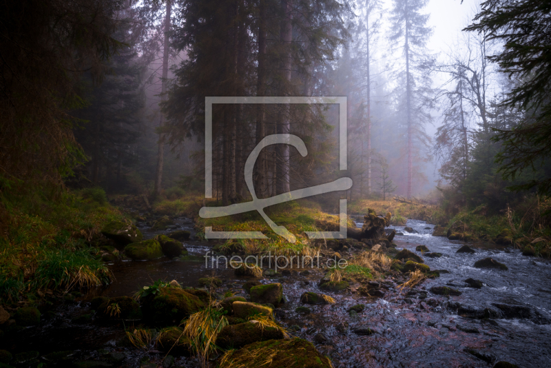 frei wählbarer Bildausschnitt für Ihr Bild auf Türfolie