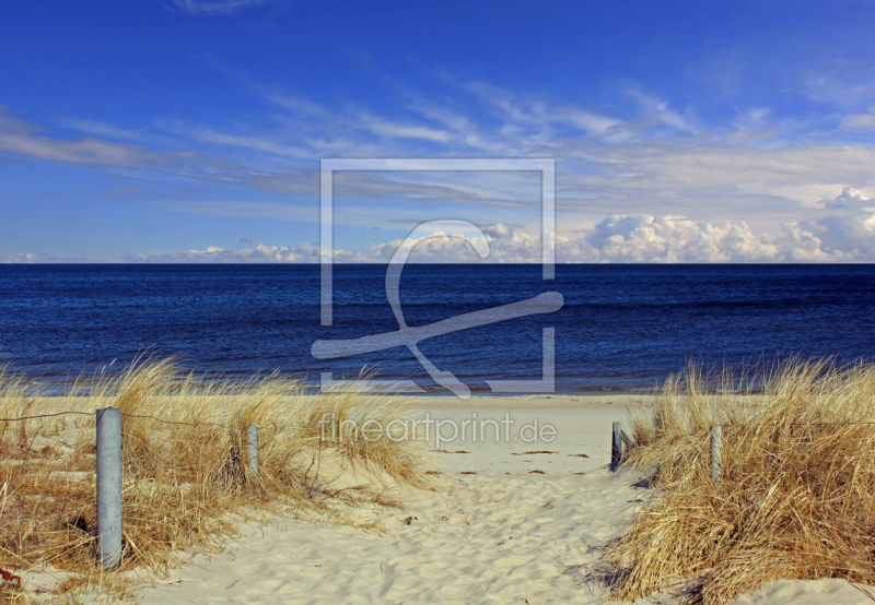 frei wählbarer Bildausschnitt für Ihr Bild auf Türfolie