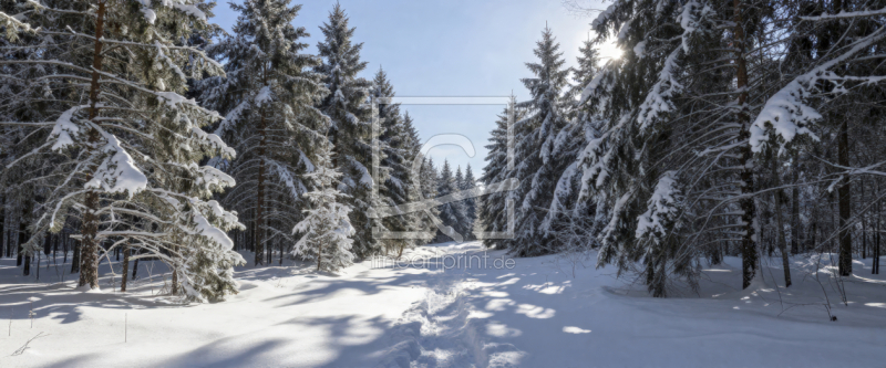 frei wählbarer Bildausschnitt für Ihr Bild auf Türfolie