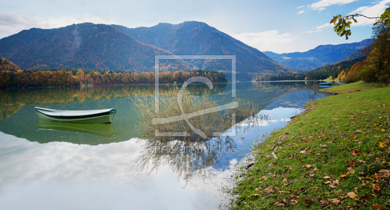 frei wählbarer Bildausschnitt für Ihr Bild auf Türfolie