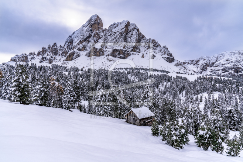 frei wählbarer Bildausschnitt für Ihr Bild auf Türfolie