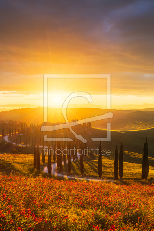 frei wählbarer Bildausschnitt für Ihr Bild auf Türfolie