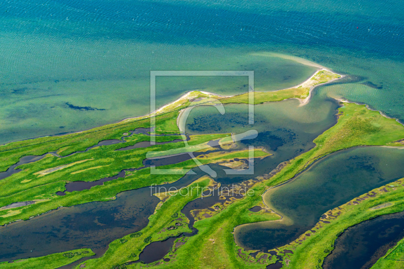 frei wählbarer Bildausschnitt für Ihr Bild auf Türfolie