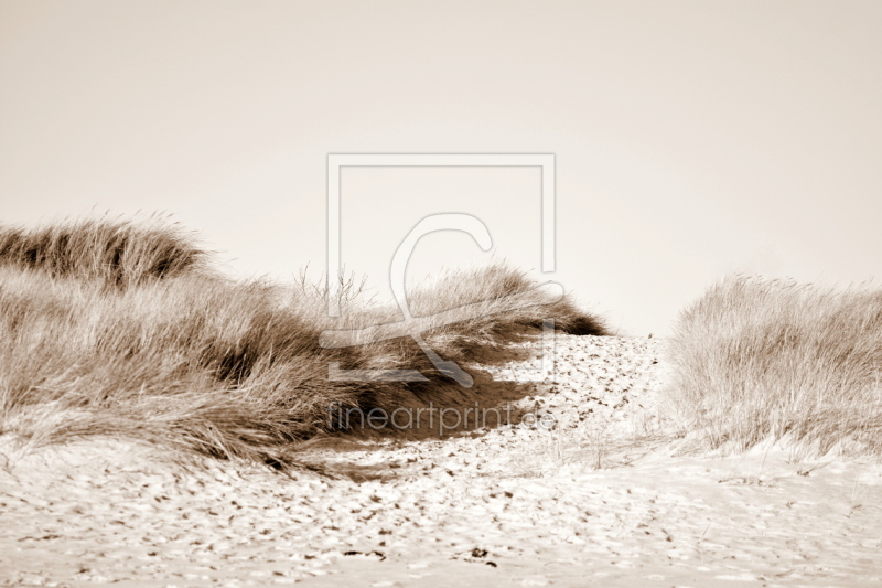 frei wählbarer Bildausschnitt für Ihr Bild auf Türfolie