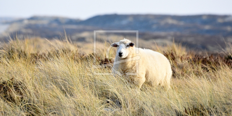 frei wählbarer Bildausschnitt für Ihr Bild auf Türfolie