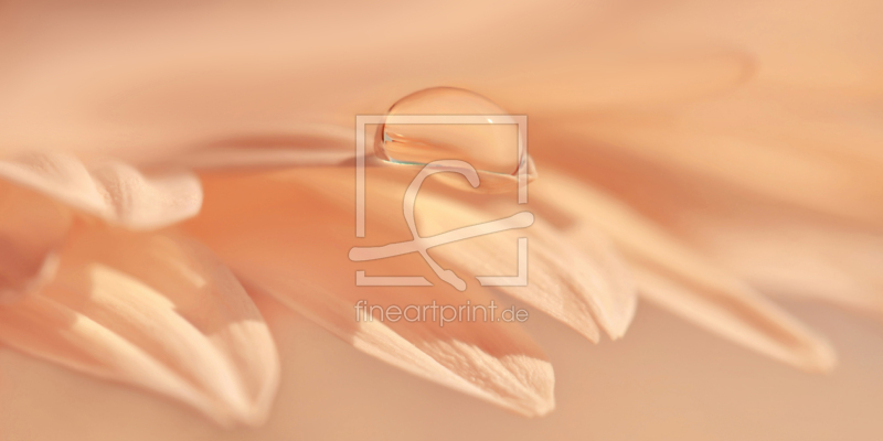 frei wählbarer Bildausschnitt für Ihr Bild auf Türfolie