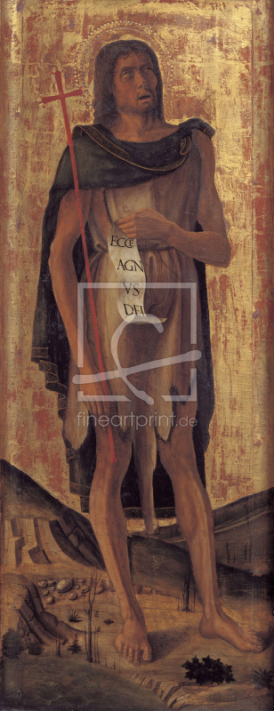 frei wählbarer Bildausschnitt für Ihr Bild auf Türfolie