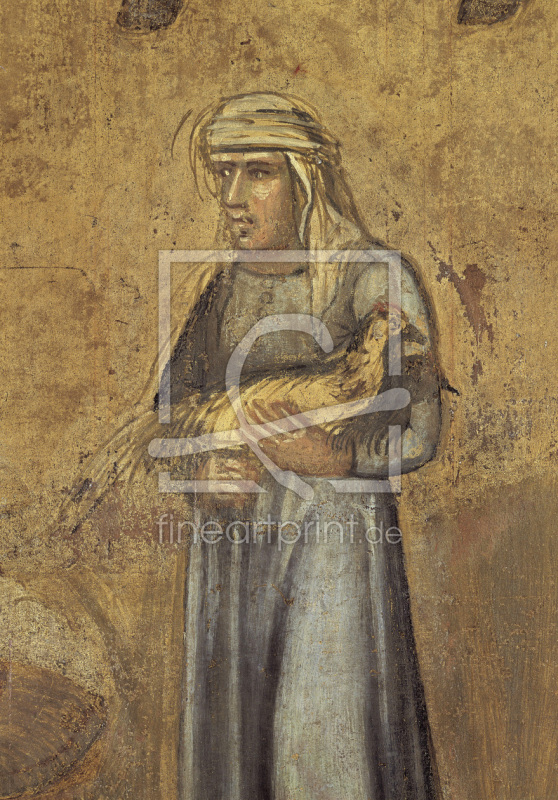 frei wählbarer Bildausschnitt für Ihr Bild auf Türfolie