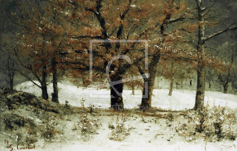 frei wählbarer Bildausschnitt für Ihr Bild auf Türfolie