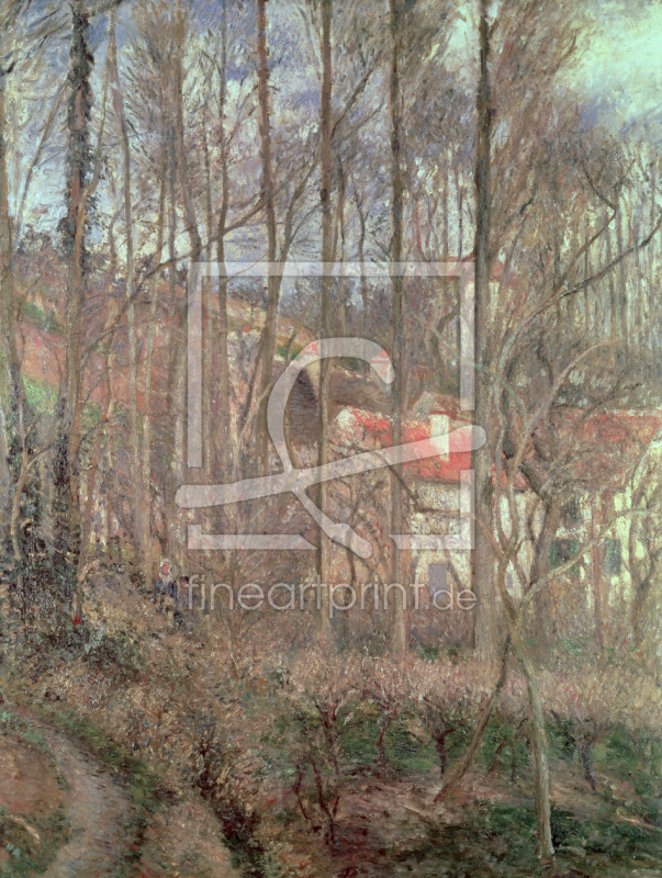 frei wählbarer Bildausschnitt für Ihr Bild auf Türfolie