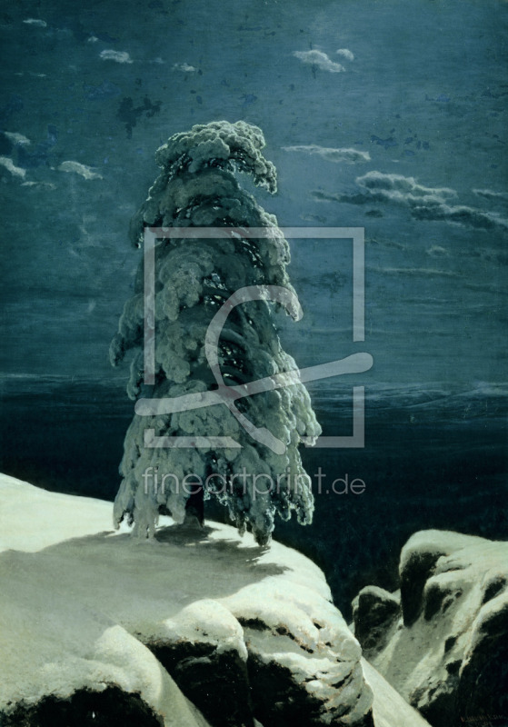 frei wählbarer Bildausschnitt für Ihr Bild auf Türfolie