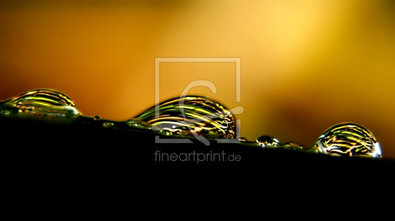 frei wählbarer Bildausschnitt für Ihr Bild auf Türfolie