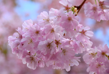 Bild-Nr: 12817853 Frühlingsgefühle Erstellt von: GUGIGEI