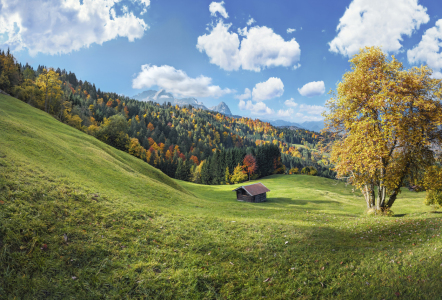 Bild-Nr: 12920610 Herbst unterhalb der Zugspitze bei Wamberg Erstellt von: Michael  Rucker