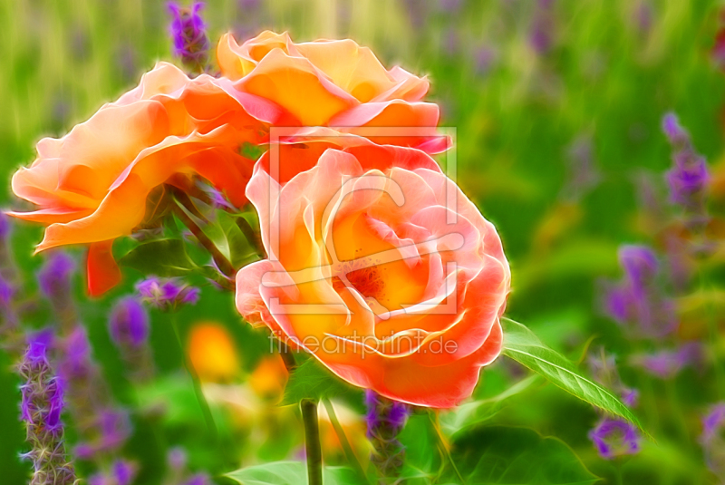 frei wählbarer Bildausschnitt für Ihr Bild auf Untersetzer